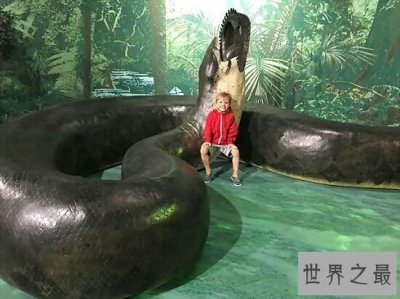 ​泰坦巨蟒的身体非常长，竟然达到了50.75米