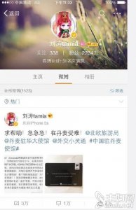 ​刘涛丹麦被盗400万首饰 刘涛被盗真相疑似曝光