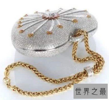 世界上最贵的手包,包身镶钻4500多颗,售价高达2516万元