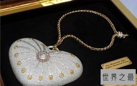 世界上最贵的手包,包身镶钻4500多颗,售价高达2516万元