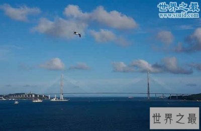 ​世界上最大的斜拉桥，俄罗斯岛大桥(主跨长1104米)