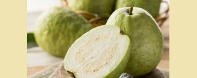 ​芭乐的籽可以吃吗? 芭乐的籽能吃吗?