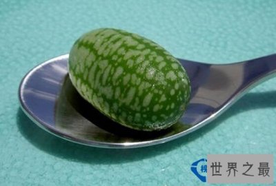 ​世界上最小的西瓜图片 一个勺子能装好几个