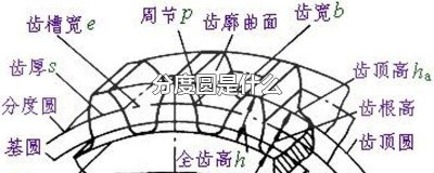 ​分度圆大小一定的渐开线齿轮轮廓形状取决于 分度圆大小不会改变