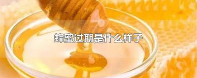​蜂蜜过期是什么样的状态 过期的蜂蜜是怎样的