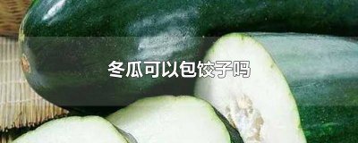 ​冬瓜能做饺子馅儿吗 冬瓜可以做馅包饺子吗