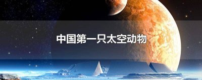 ​世界上第一只上太空的动物 世界上第一个上太空的动物是什么生肖