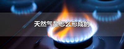 ​煤炭和石油是怎么形成的 天然气和石油是怎么形成的