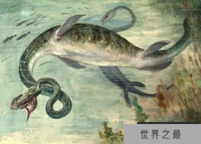 ​世界十大恐怖海怪传说，真的有海怪吗？