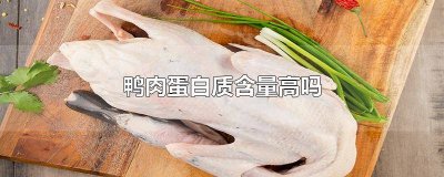 ​鸭肉算优质蛋白吗 鸭肉算不算高蛋白