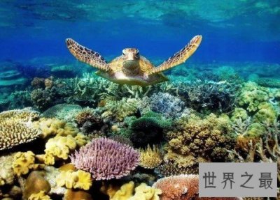 ​世界上最大的大堡礁，共有岛屿600多个，面积达20.7万平方千米
