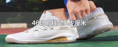 ​46码鞋子有多长 46码鞋是多少