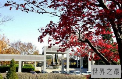 ​韩国大学排名·去韩国留学就选这十所大学准没错