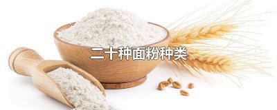 ​二十种面粉种类 二十种面粉种类图片