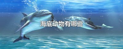 ​海底动物有哪些 都有什么特点 海底动物有哪些 发出的声音