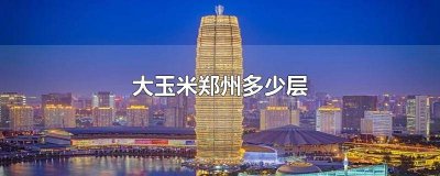 ​郑州大玉米楼层 郑州大玉米层高