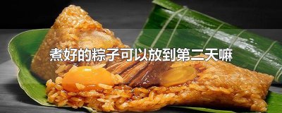​煮好的粽子可以放到第二天吗 粽子放了两天再煮可以吗