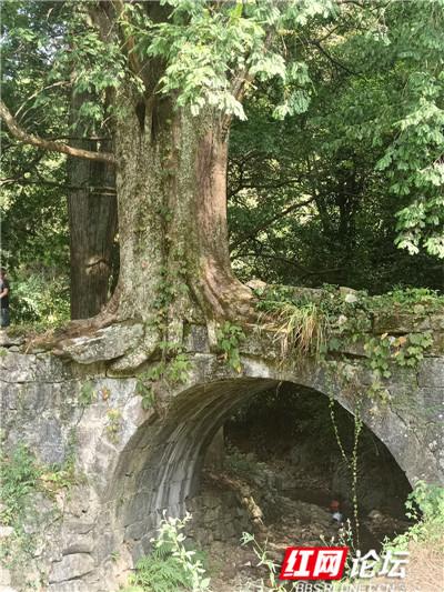 第二天：汝城千年古桥风景区