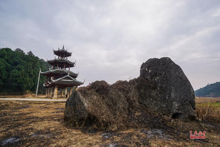 第三天：桂阳古树王风景区；