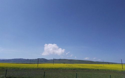 4、青海