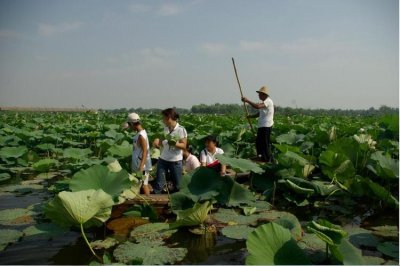 ​保定好玩的旅游景点