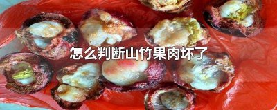 ​分辨山竹果肉好坏图片 山竹里边的果肉是透明的是否坏了