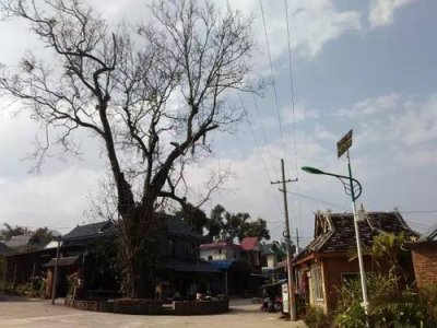​到西双版纳旅游去哪