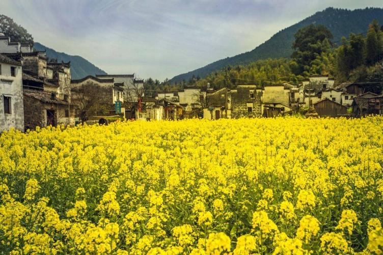 3.婺源