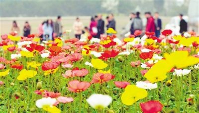 ​6月底去哪里旅游好