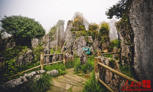 三、大华蓥山天坑