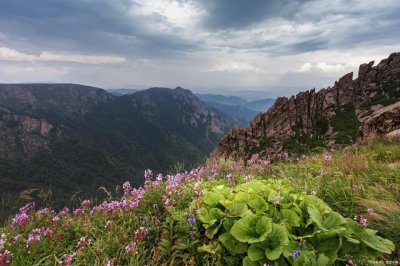 ​最近可以去哪里旅游