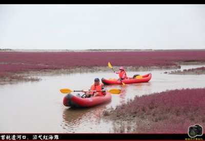 ​苍南哪里好玩旅游景区