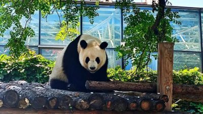 ​成都附近的旅游景点哪里好玩
