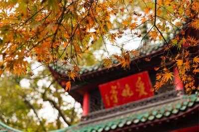​长沙周边适合大学生旅游的地方