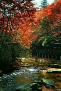 ​长武附近旅游景点大全