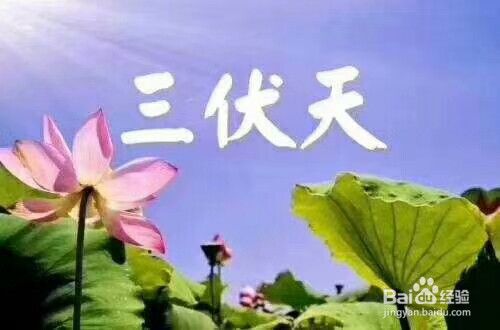 三、注意事项
