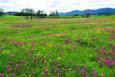 ​5月底6月初去哪旅游好