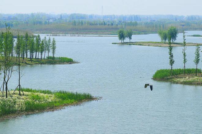 1、金洲湿地公园