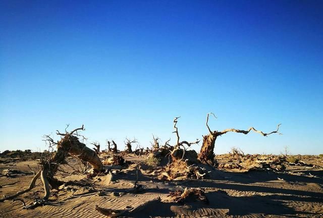 武江区美食，你认为中国最美的旅游景区是哪一个？图2