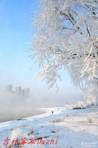 ​哪个地方适合冬天旅游