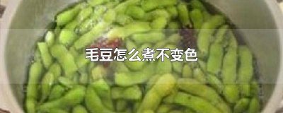 ​毛豆如何煮不变色好吃窍门 毛豆如何煮不变色好吃视频