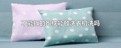 ​抱枕能放洗衣机里洗吗视频 抱枕能放洗衣机里洗吗图片