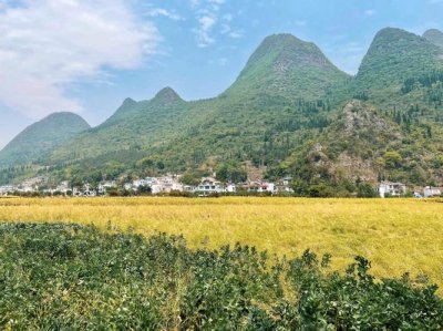 ​冬天贵州旅游景点推荐