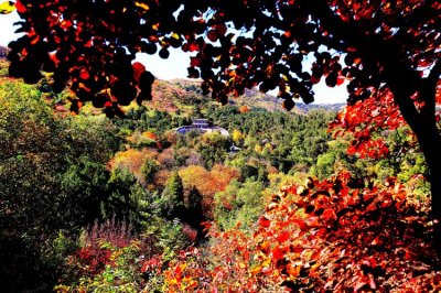 ​秋季去哪里旅游最好国内