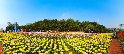 4、湖南植物园