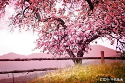 ​去泸沽湖旅游什么季节