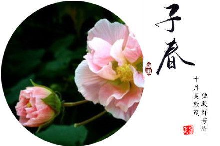 一、农历二月到三月之间