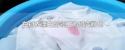​白短袖漂白后为什么领口变粉红 漂白衬衫变粉色