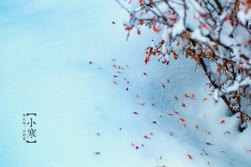 写小寒的诗有哪些?