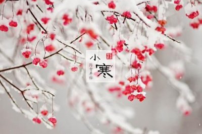 ​写小寒的诗有哪些?